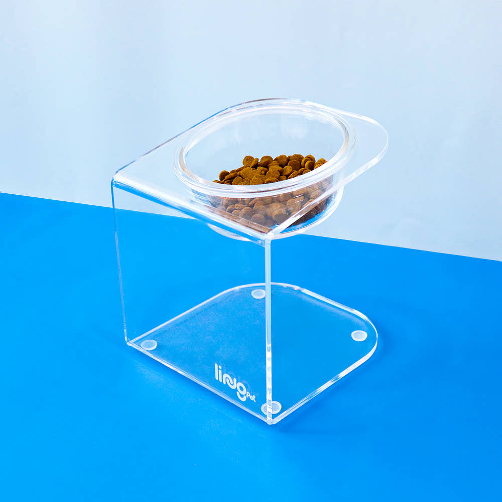 Elevated Pet Bowl (Single)