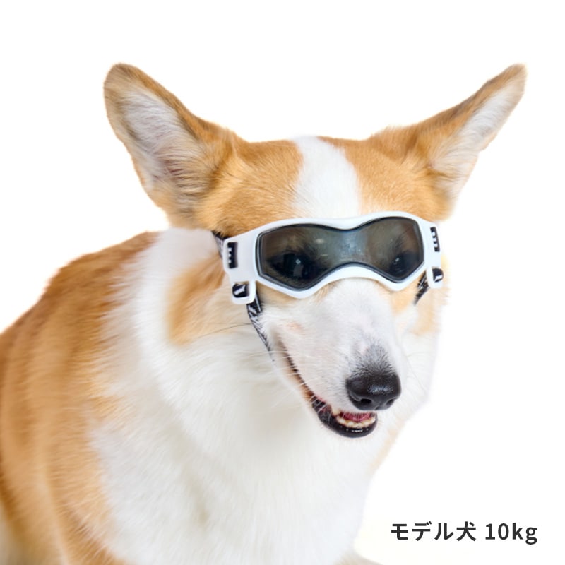 Lifelike Goggles