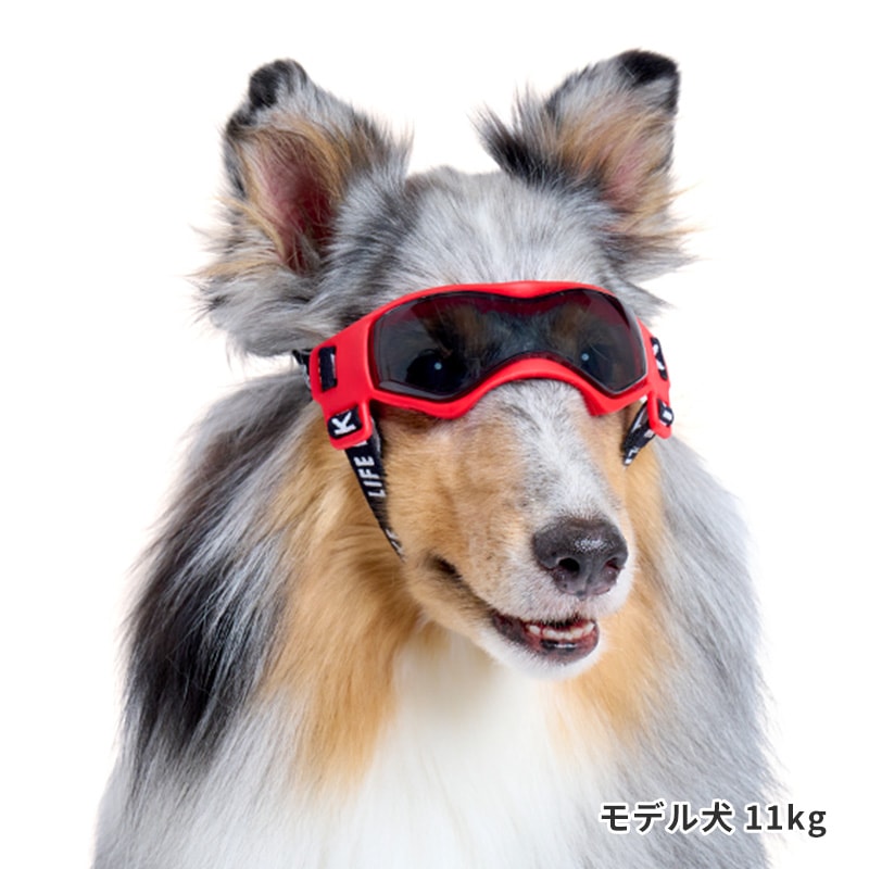 Lifelike Goggles