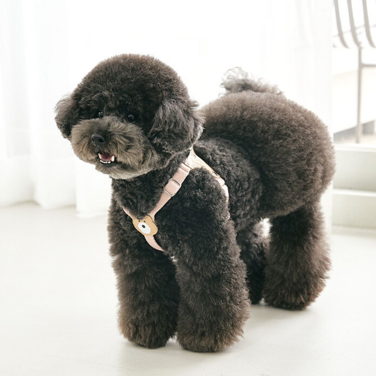 BearBong Harness (Upgrade Ver.!)