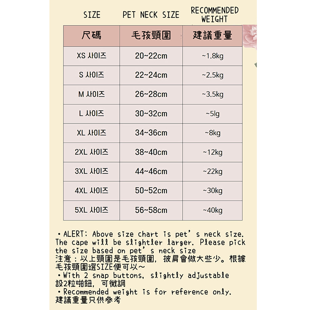 韓式蝴蝶珠光披肩