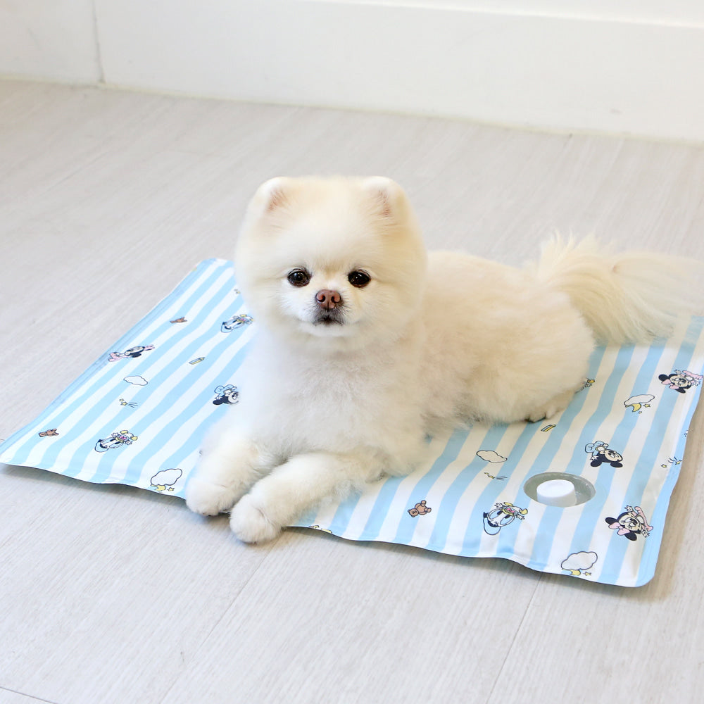 Disney Baby Friends Cooling Gel Mat (2 colors)