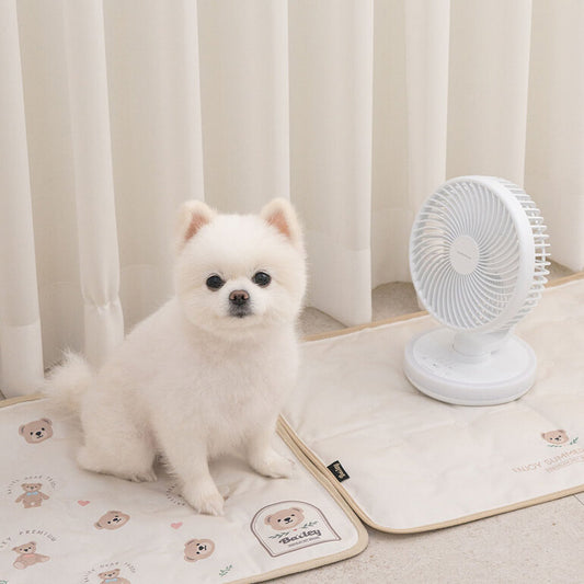 Teddy Bear Cooling Mat 韓系熊仔凝膠冰墊 | 雙面設計