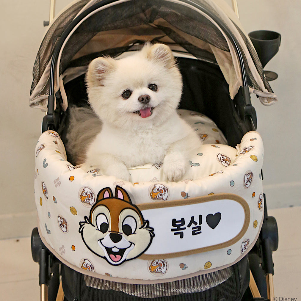 Chip n Dale Stroller Comforter | Reversible | Custom Name Tag!