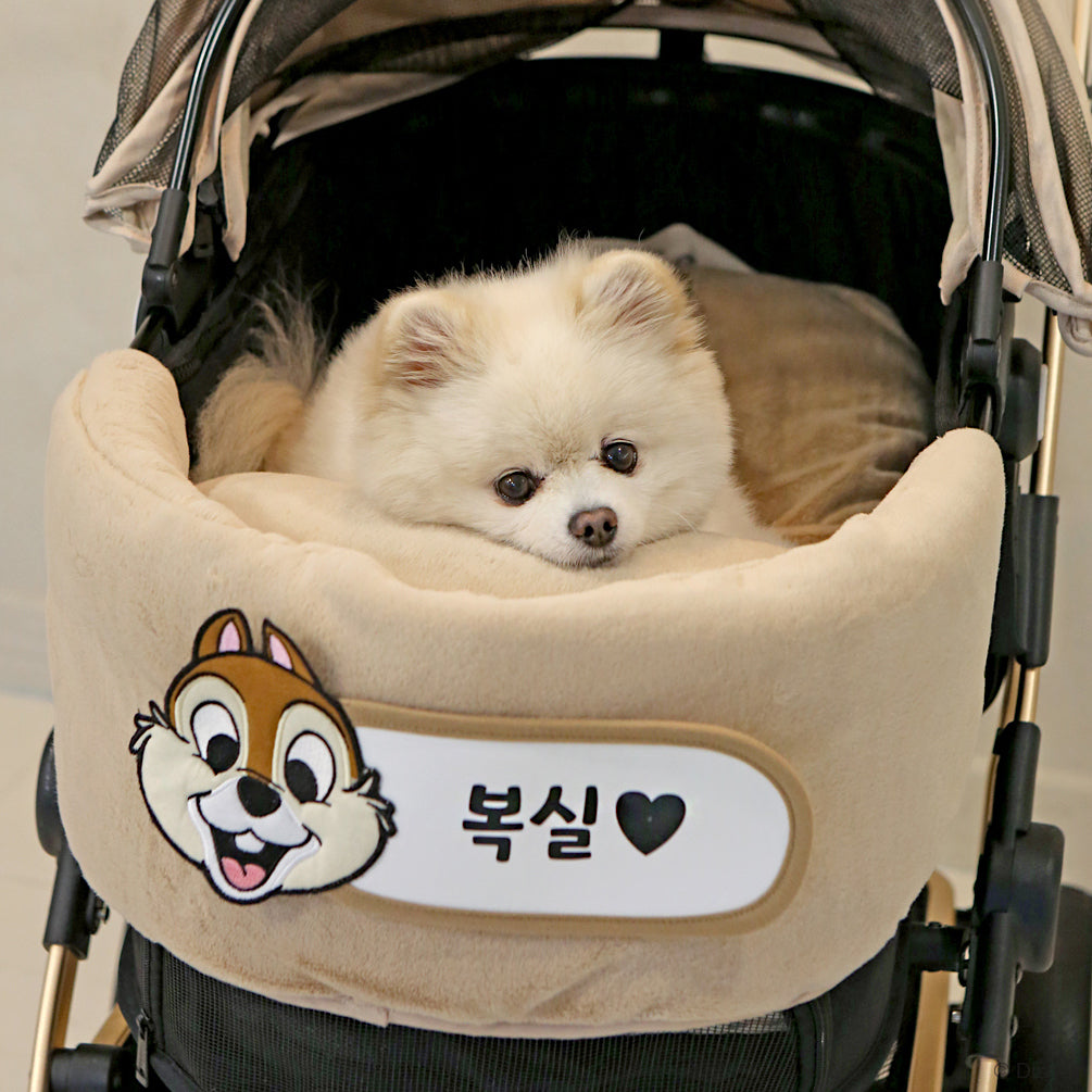 Chip n Dale Stroller Comforter | Reversible | Custom Name Tag!
