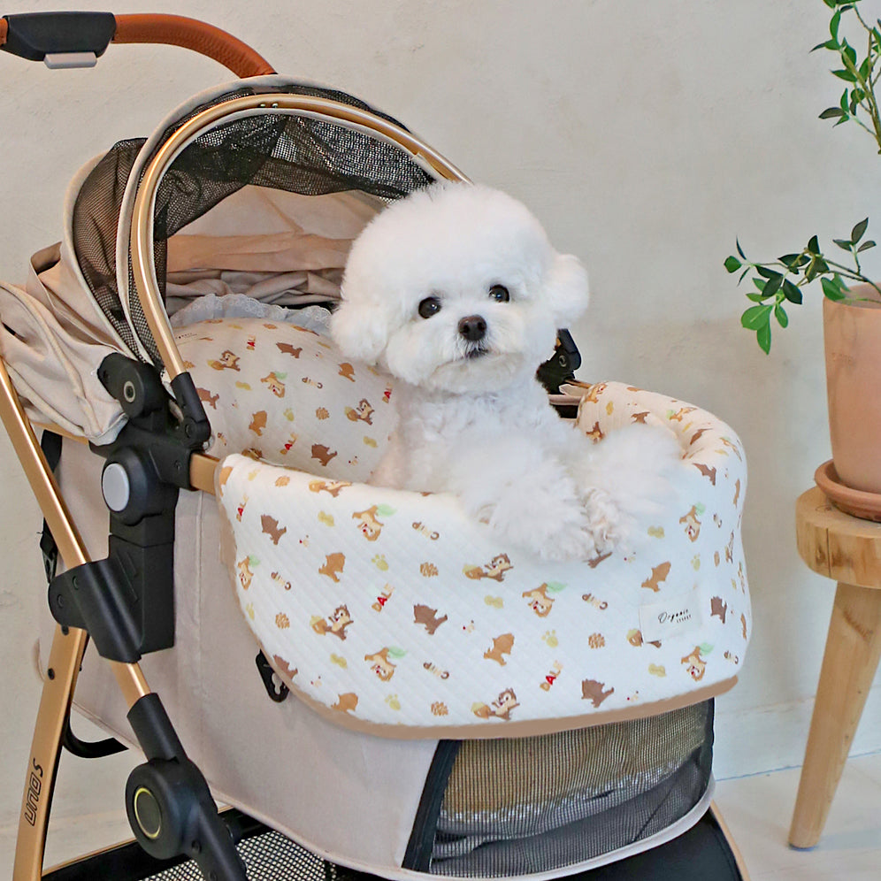 Chip n Dale Stroller Comforter | Reversible | Custom Name Tag!