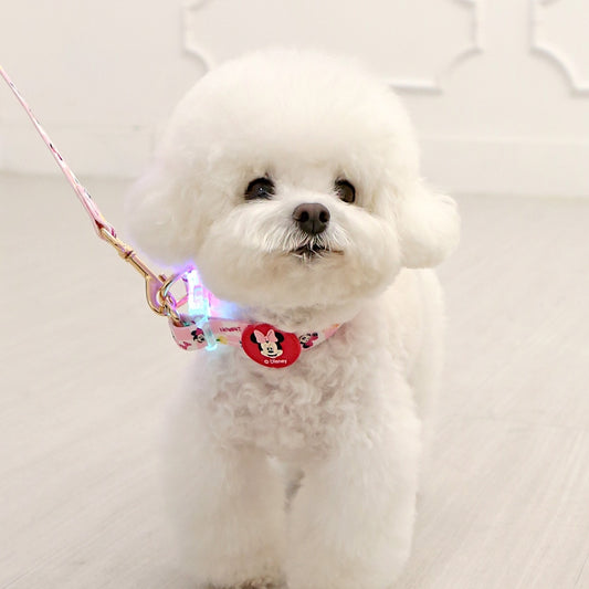 ITSDOG | Disney LED Collar (Mickey/Minnie/Donald Duck)