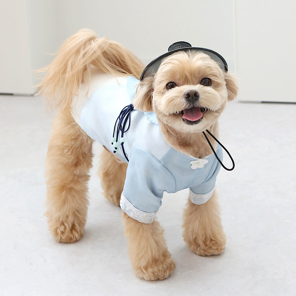 Dowon Prince Hanbok