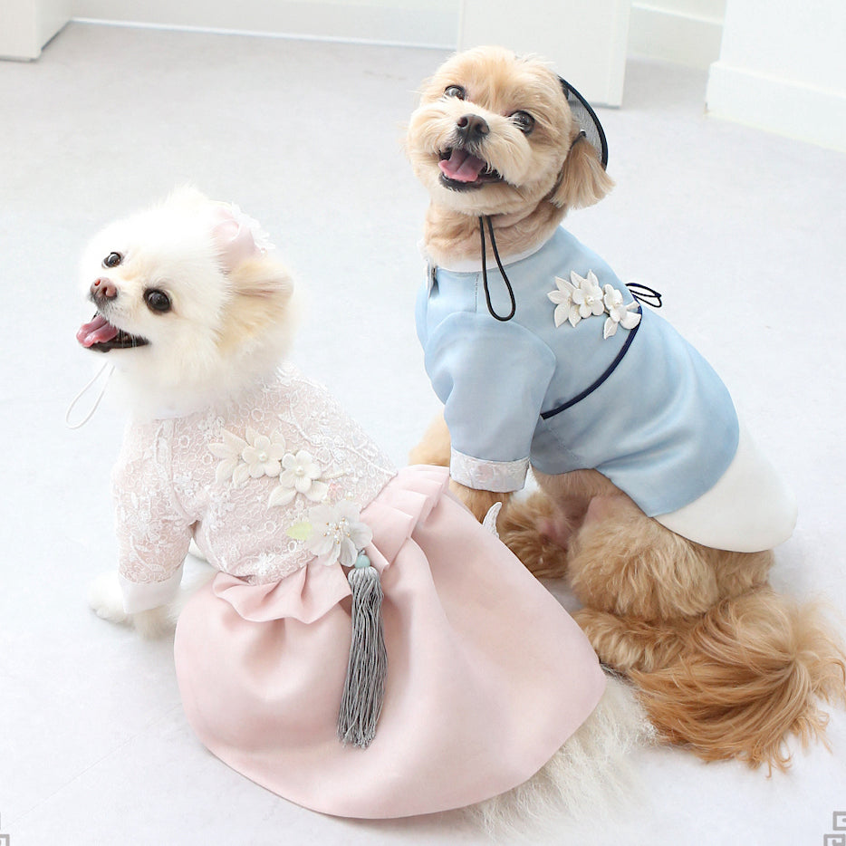 Dowon Prince Hanbok