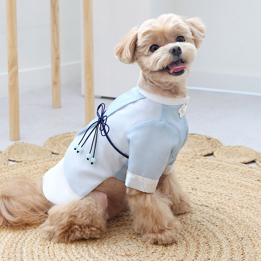 Dowon Prince Hanbok