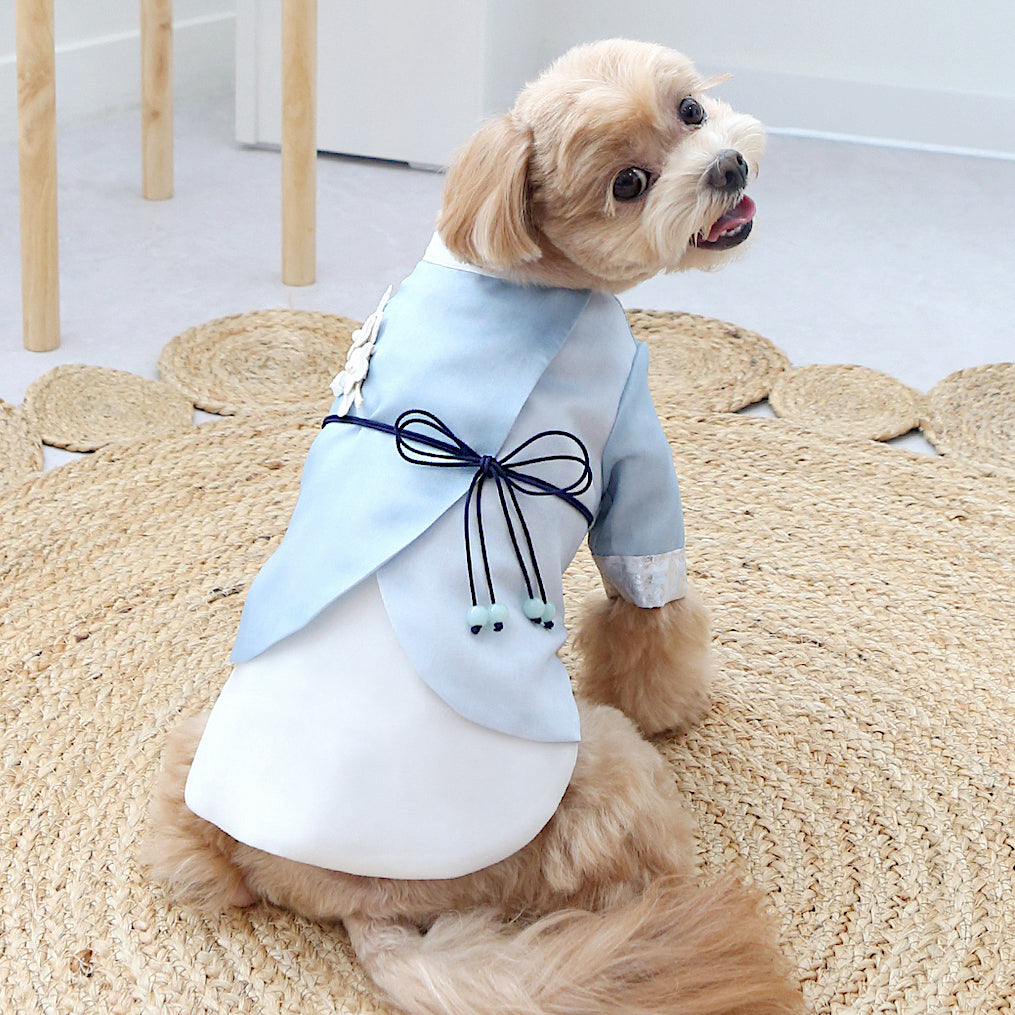 Dowon Prince Hanbok