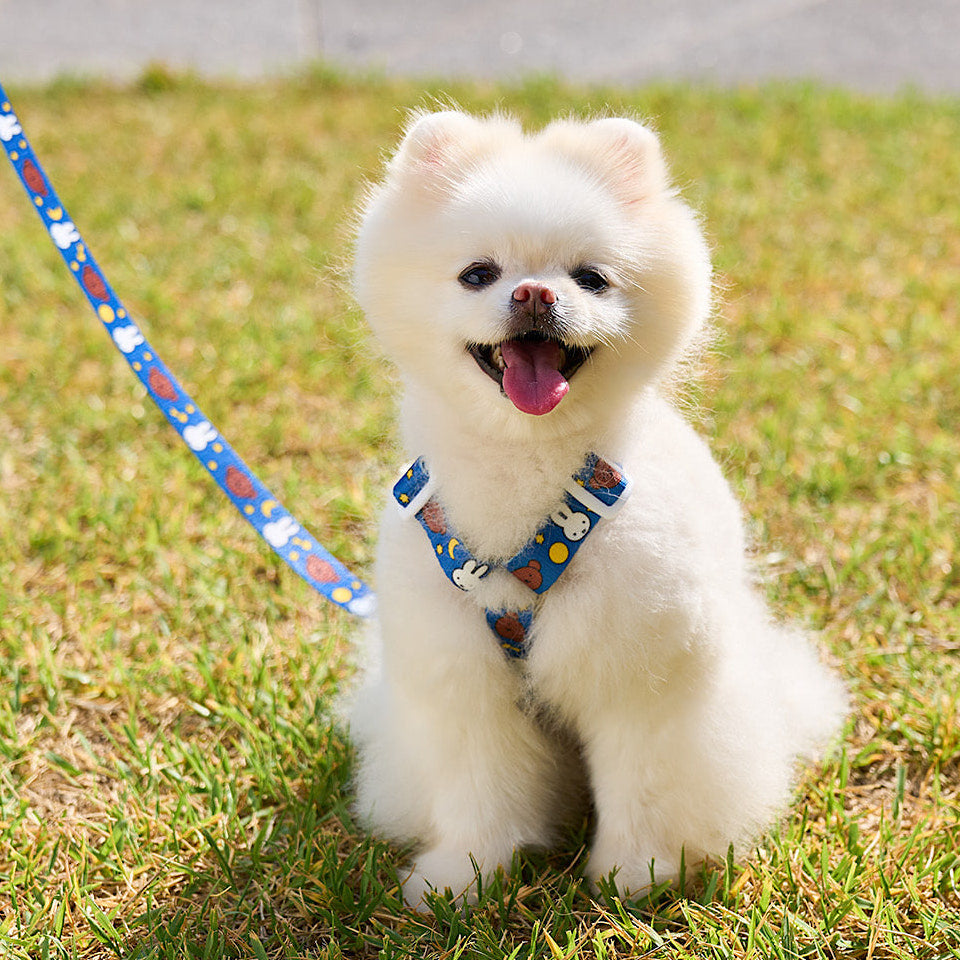 Colorful Miffy Harness
