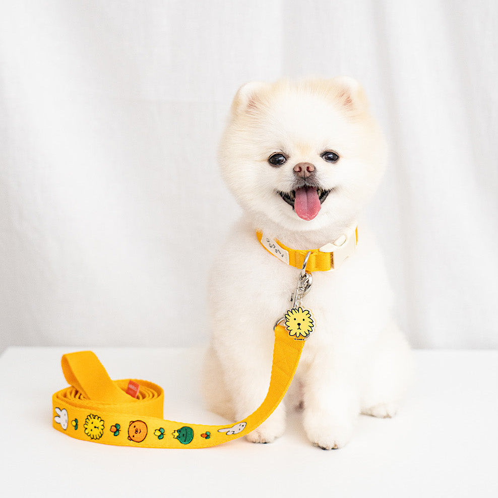 Miffy & Friends Leash