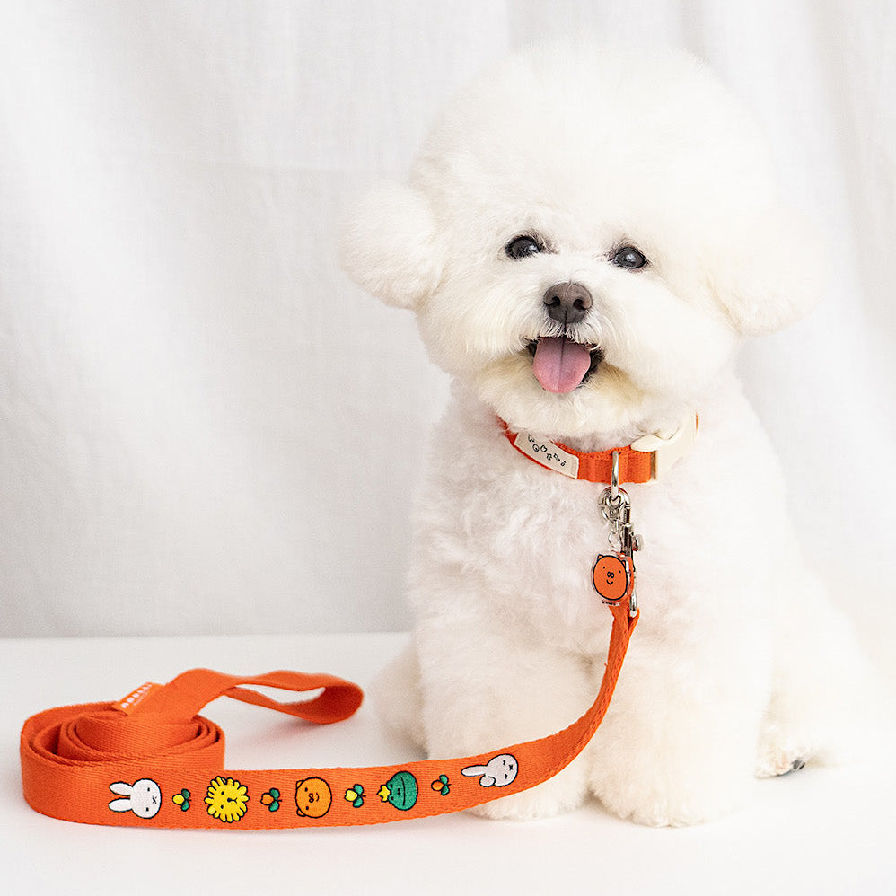 Miffy & Friends Leash