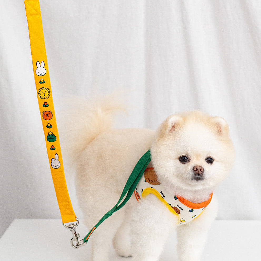 Miffy & Friends Leash