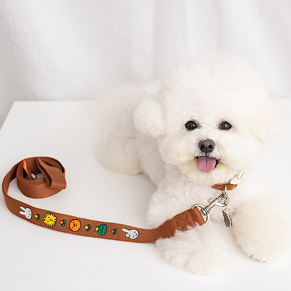 Miffy & Friends Leash