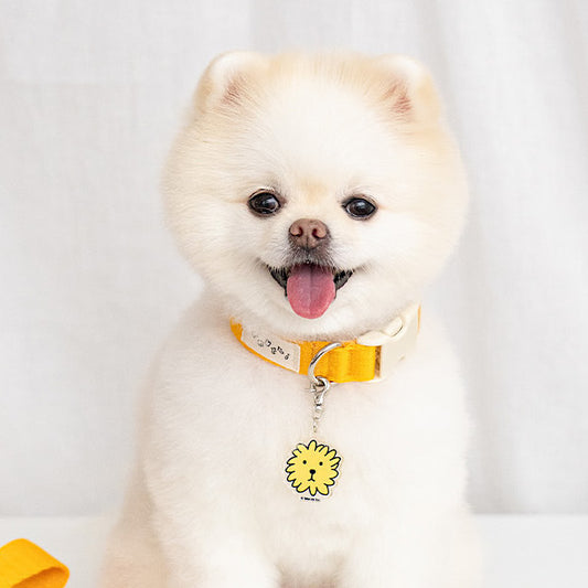 Miffy & Friends Collar