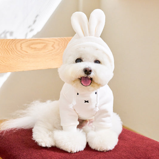 Miffy Hoodie (Ivory - 2023 ver.)