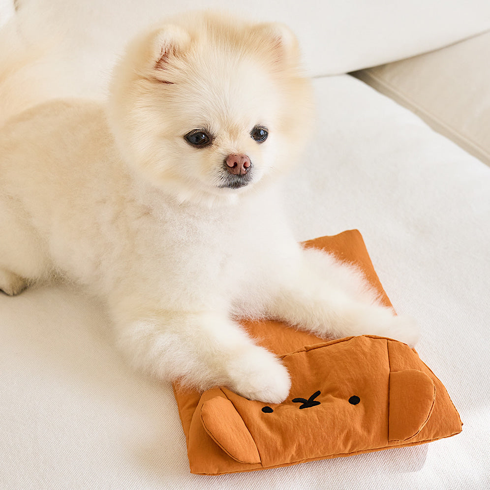 Boris Ice Pack Pouch (2 sizes - BIG size added!)