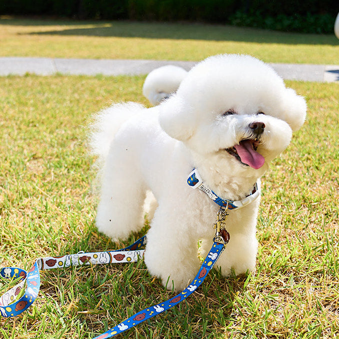 Colorful Miffy Collar