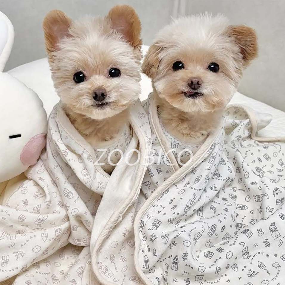 有機棉KooKoo被仔