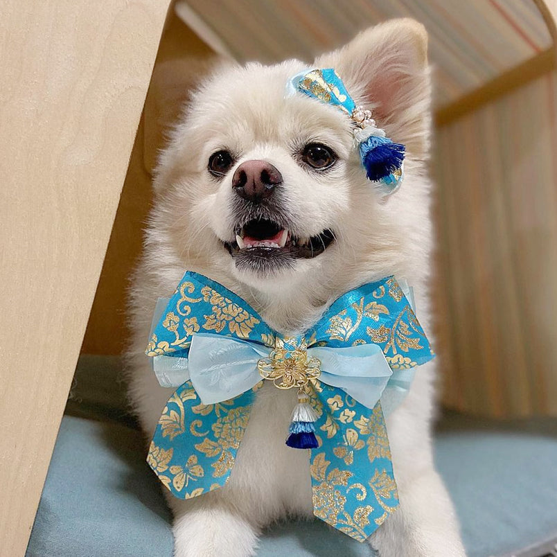 New Year Ribbon Collar