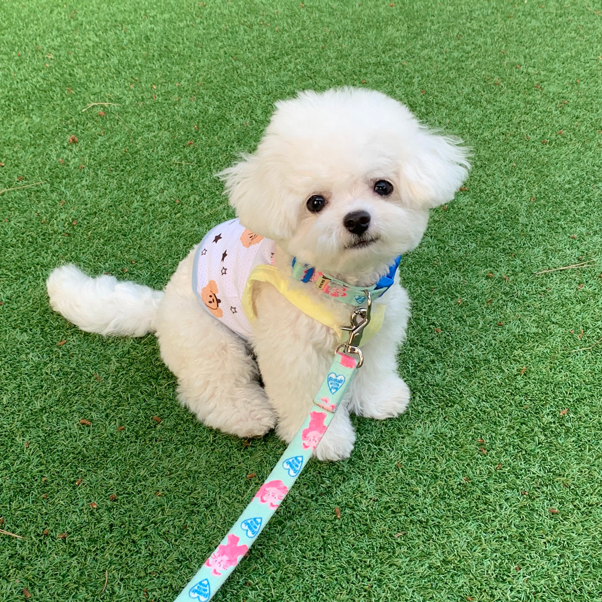 Puppy Cooling Crop Vest