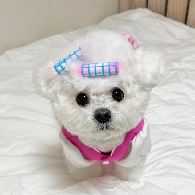 Hair Roller