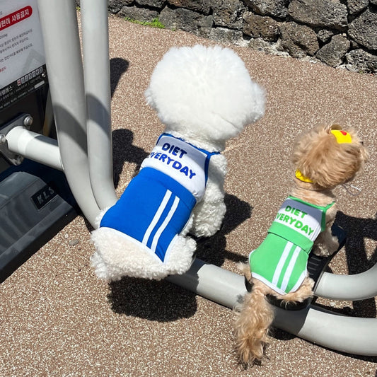 Diet Everyday Cooling Suit