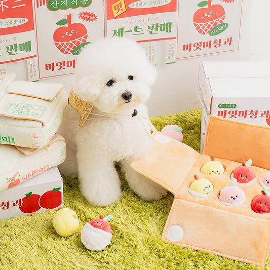 雜錦水果盒嗅覺玩具