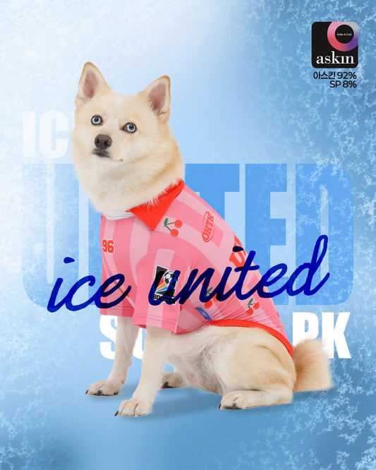 \ 大推~超型&高質~有大SIZE / 條紋反領運動衫 (2色) | 最大胸圍107cm | 親子裝