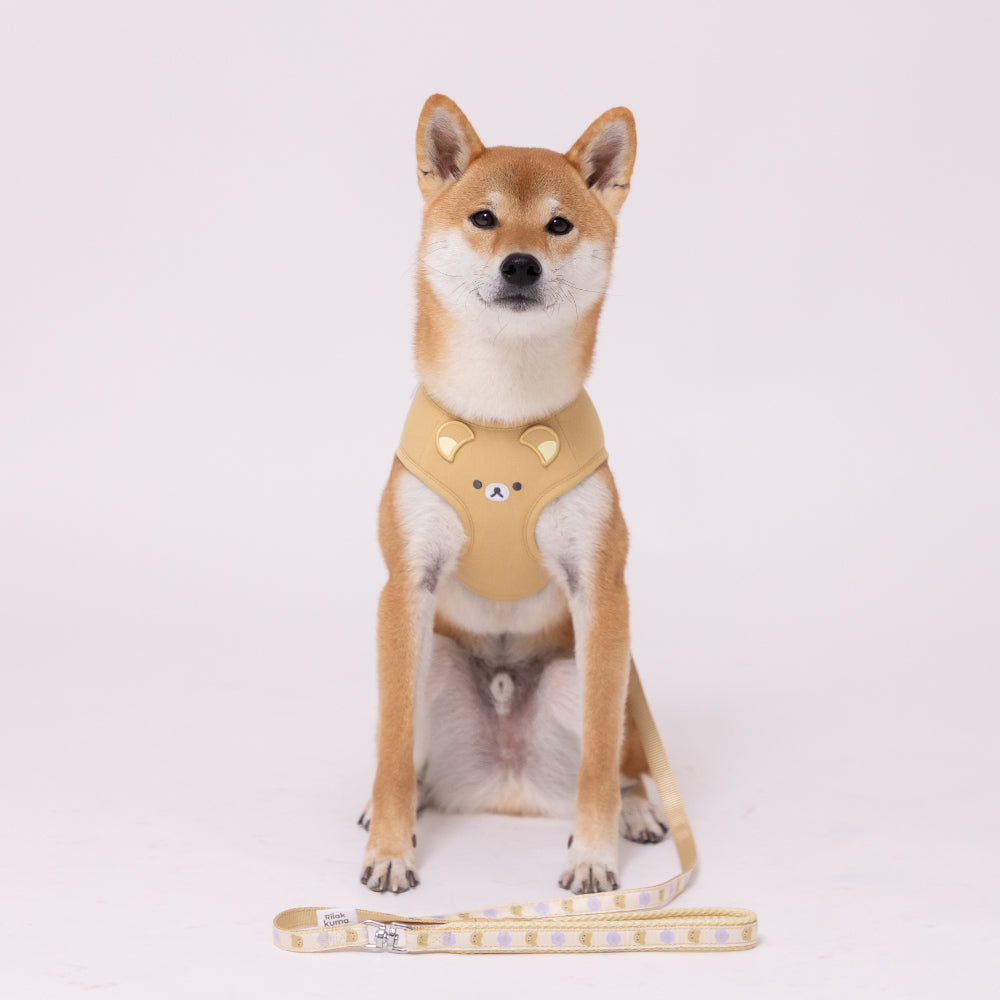 Rilakkuma Floral Leash