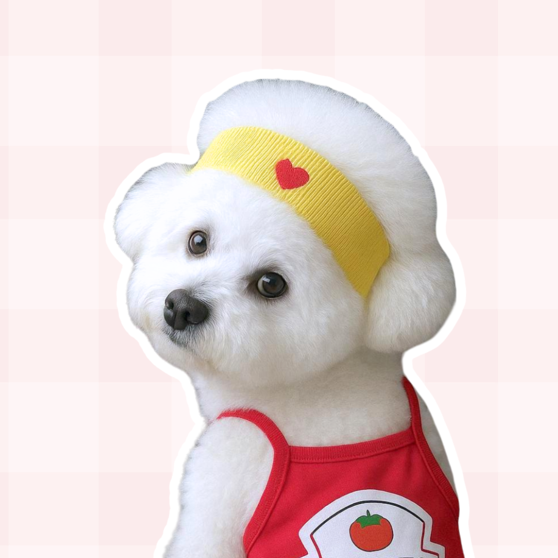 Heart Hairband