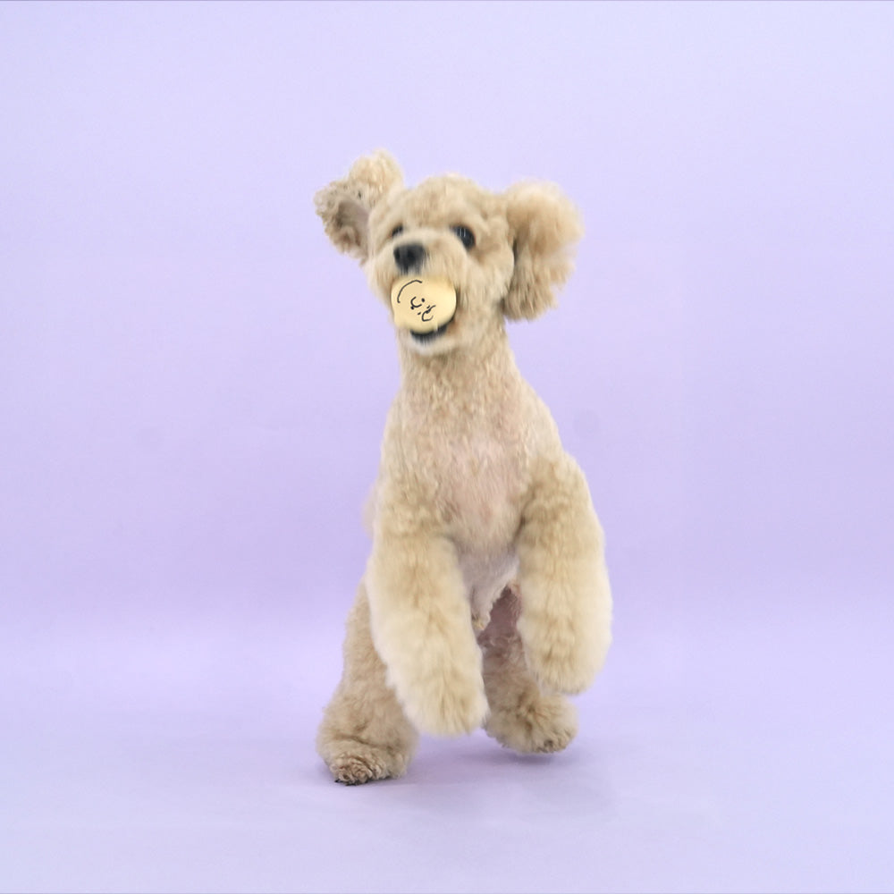 Snoopy Emoji 乳膠玩具