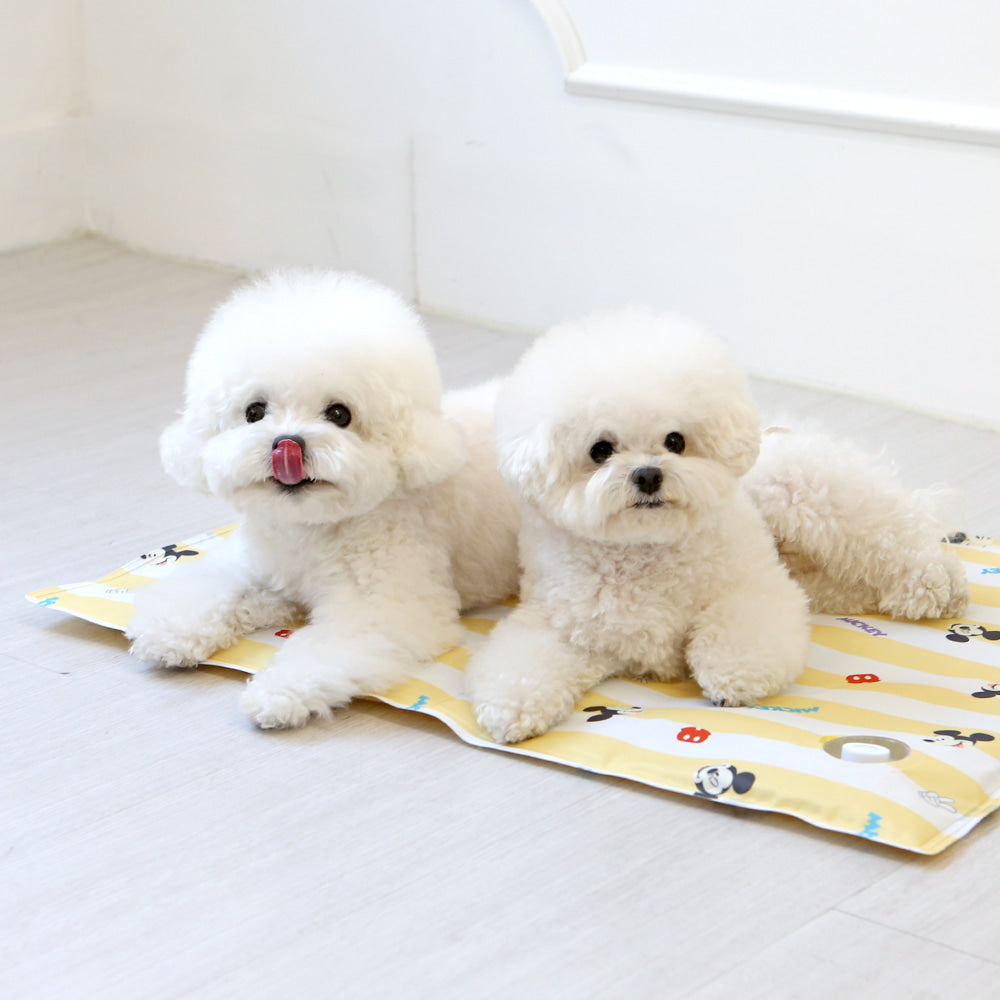 Disney Baby Friends Cooling Gel Mat (2 colors)