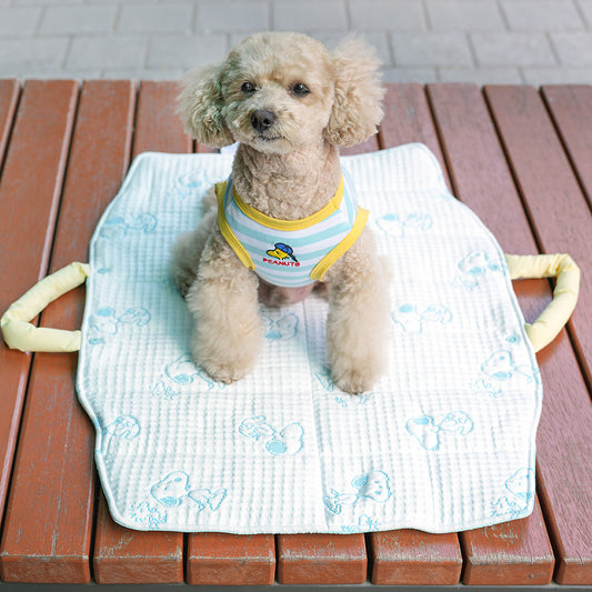 Snoopy Picnic Cooling Mat
