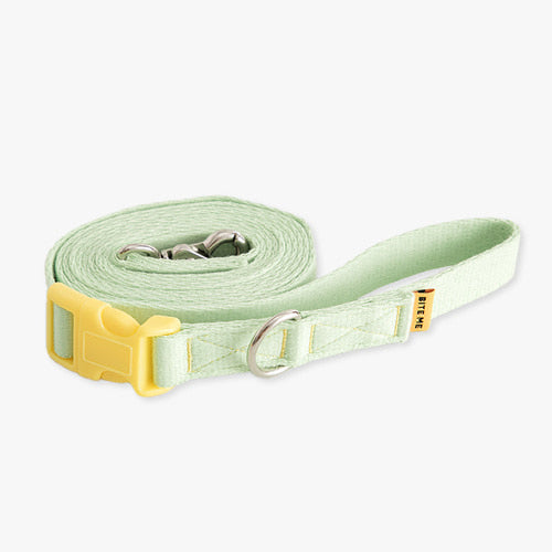 Candy Crayon Hands Free Leash