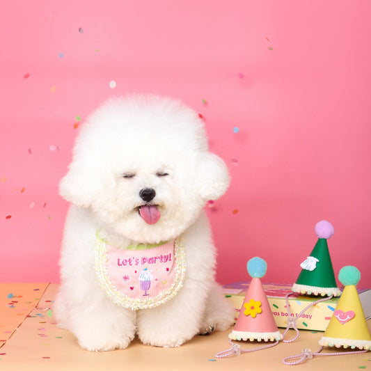 Vegan Leather Birthday Party Hat