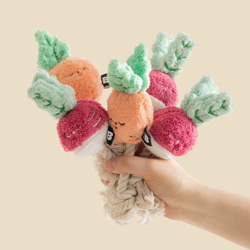 Veggie Toy