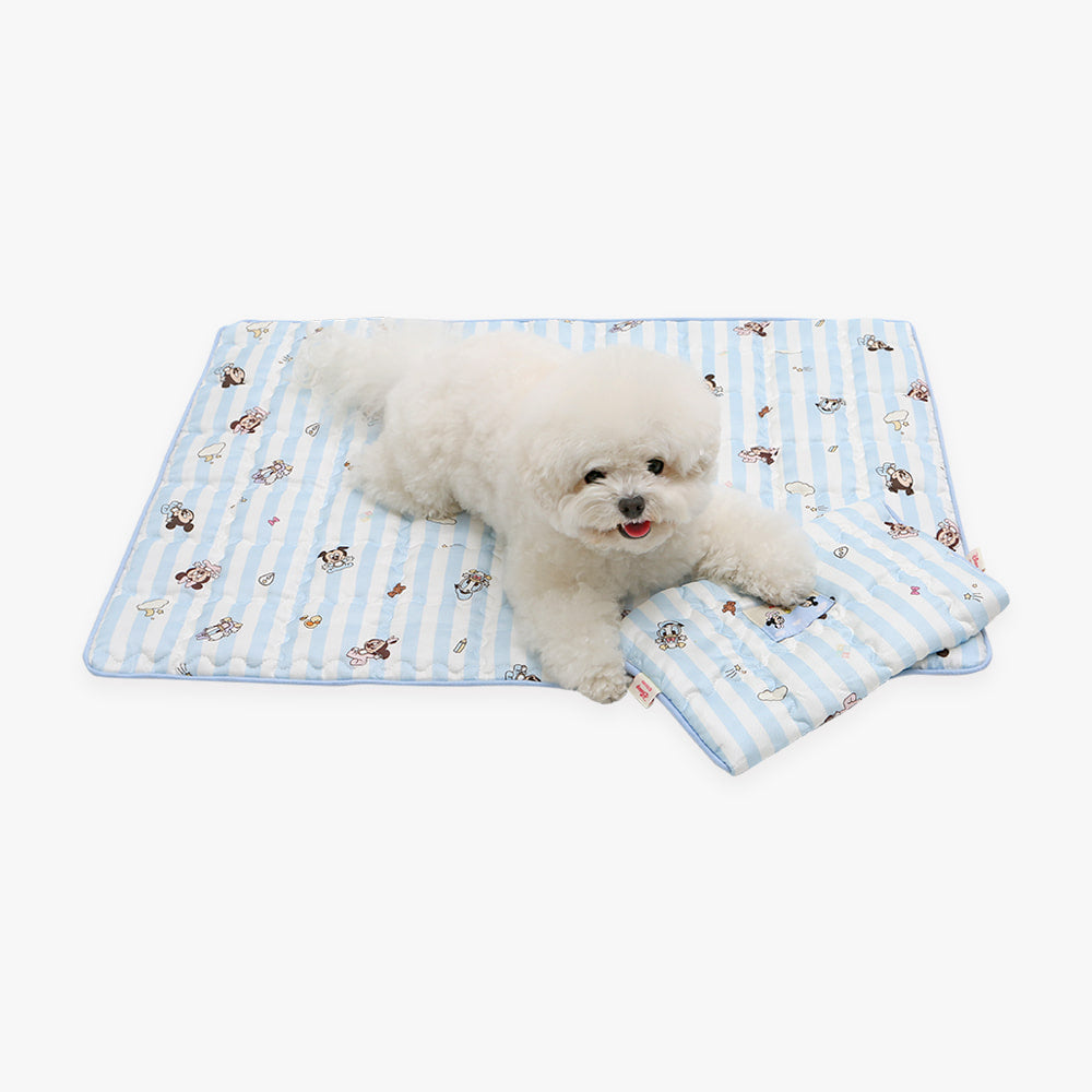 Disney Baby Friends Cooling Mat