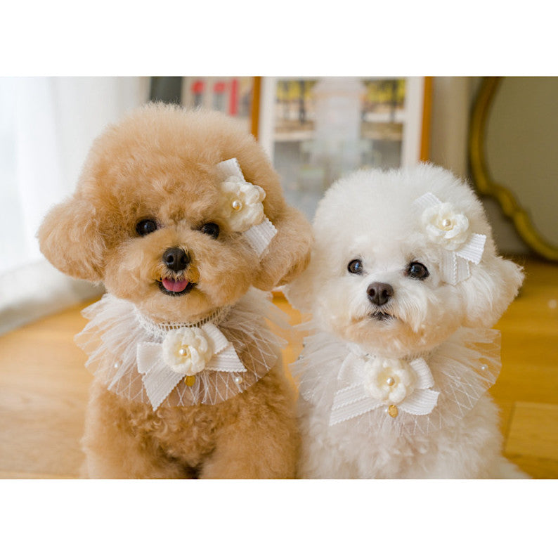 山茶花透視蕾絲披肩