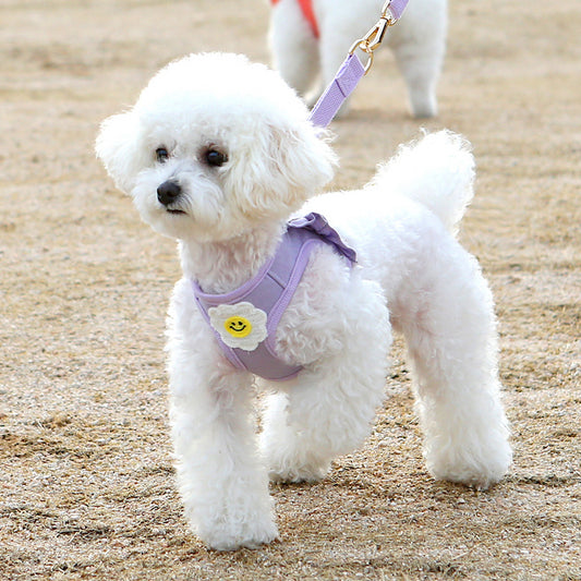 雛菊荷葉邊胸帶