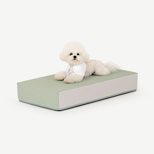 寵物防滑地台 (一級)