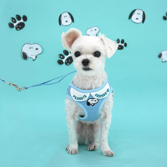 Snoopy Peter Pan Collar Harness + Leash Set