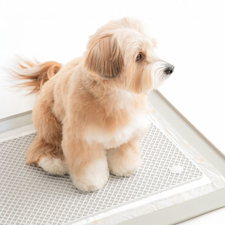 BITE ME | Zero Guard Mat | Anti-Shred & Dry-Paw Pee Pad Mat