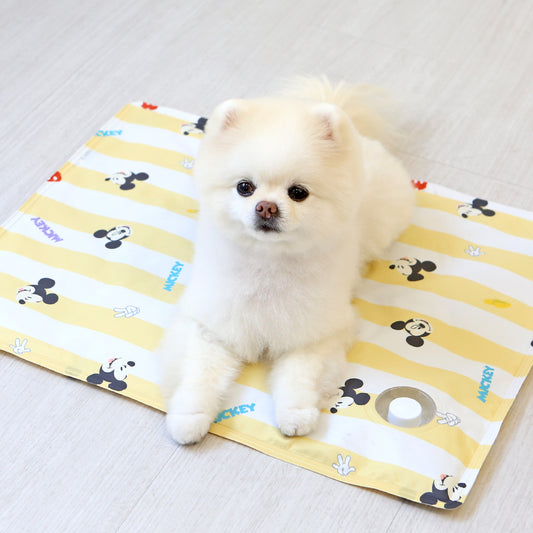 Disney Baby Friends Cooling Gel Mat (2 colors)