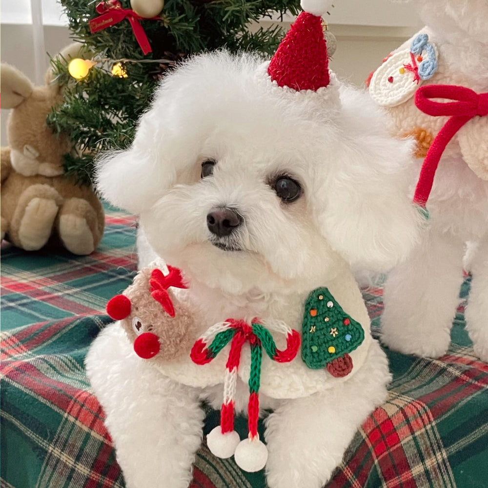 Dori Xmas Cape | Rudolph Horn at the back