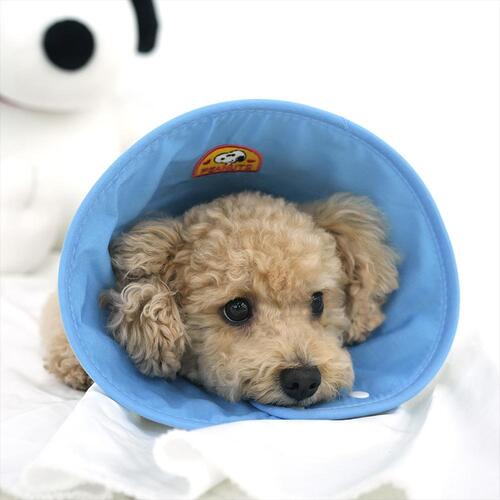 Snoopy Dog Cone (2 colors)