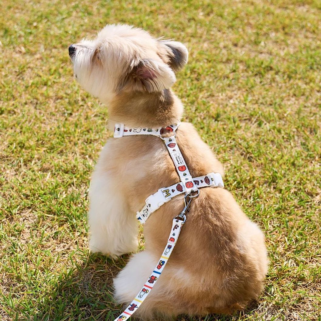 Colorful Miffy Harness