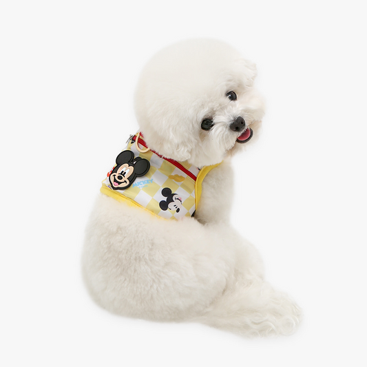 Donald Duck / Mickey Mouse Cooling Harness